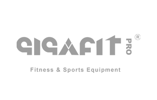 GIGAFIT